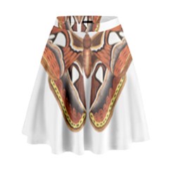 Butterfly Animal Insect Isolated High Waist Skirt by Simbadda