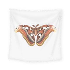 Butterfly Animal Insect Isolated Square Tapestry (small)