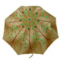 Tree Root Leaves Contour Outlines Folding Umbrellas View1