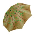 Tree Root Leaves Contour Outlines Folding Umbrellas View2