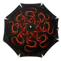 Dragon Straight Umbrellas by Simbadda