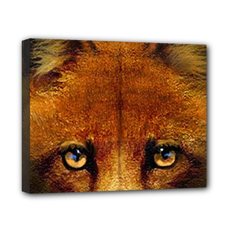 Fox Canvas 10  X 8 