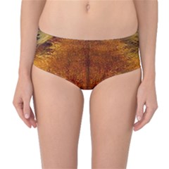 Fox Mid-waist Bikini Bottoms by Simbadda