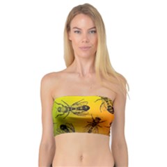 Insect Pattern Bandeau Top