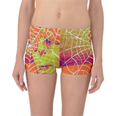 Orange Guy Spider Web Boyleg Bikini Bottoms by Simbadda