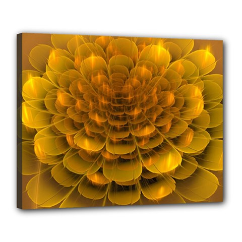 Yellow Flower Canvas 20  X 16  by Simbadda