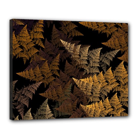 Fractal Fern Canvas 20  X 16  by Simbadda