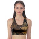 Fractal Fern Sports Bra View1