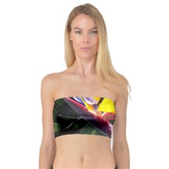 1 Bandeau Top