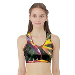 1 Sports Bra With Border