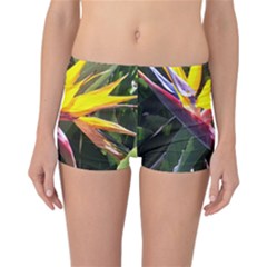 1 Reversible Bikini Bottoms