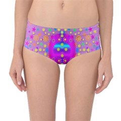 Colors And Wonderful Flowers On A Meadow Mid-waist Bikini Bottoms