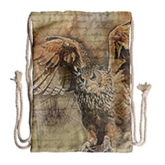 Vintage Owl Drawstring Bag (large)