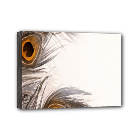 Peacock Feathery Background Mini Canvas 7  X 5  by Simbadda