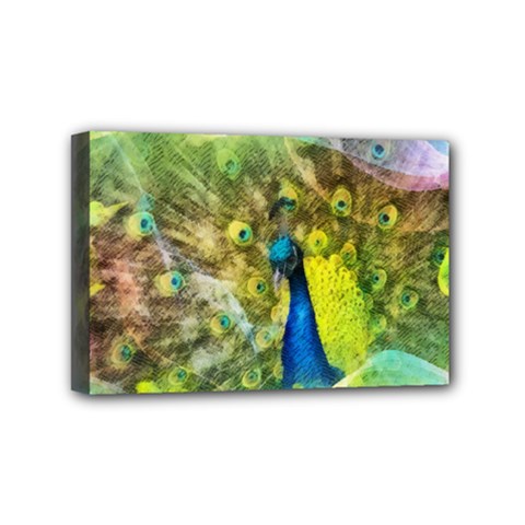 Peacock Digital Painting Mini Canvas 6  X 4  by Simbadda