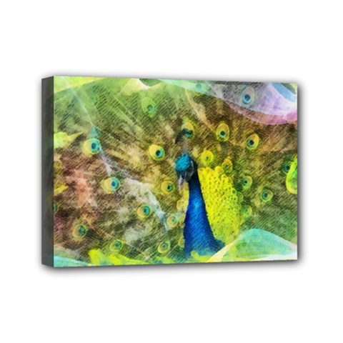 Peacock Digital Painting Mini Canvas 7  X 5  by Simbadda