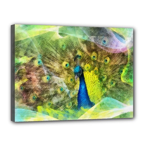 Peacock Digital Painting Canvas 16  X 12  by Simbadda