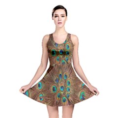 Peacock Pattern Background Reversible Skater Dress by Simbadda