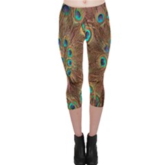 Peacock Pattern Background Capri Leggings  by Simbadda