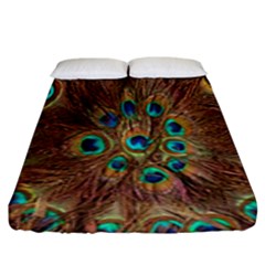 Peacock Pattern Background Fitted Sheet (king Size)