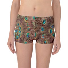 Peacock Pattern Background Reversible Bikini Bottoms by Simbadda