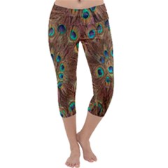 Peacock Pattern Background Capri Yoga Leggings by Simbadda