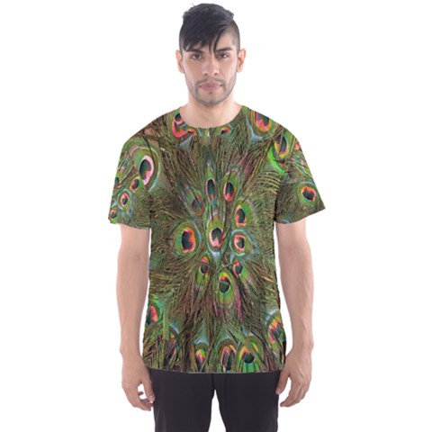 Peacock Feathers Green Background Men s Sport Mesh Tee by Simbadda