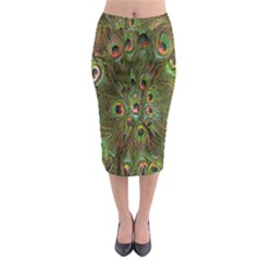 Peacock Feathers Green Background Midi Pencil Skirt by Simbadda