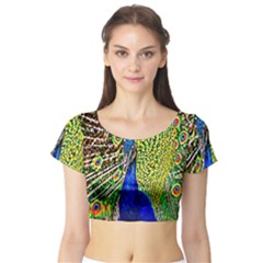 Graphic Painting Of A Peacock Short Sleeve Crop Top (tight Fit) by Simbadda