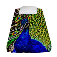 Graphic Painting Of A Peacock Fitted Sheet (single Size)