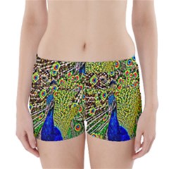 Graphic Painting Of A Peacock Boyleg Bikini Wrap Bottoms by Simbadda