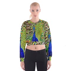 Graphic Painting Of A Peacock Women s Cropped Sweatshirt by Simbadda