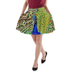 Graphic Painting Of A Peacock A-line Pocket Skirt by Simbadda