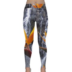 Bird Of Paradise Classic Yoga Leggings by northshoreH