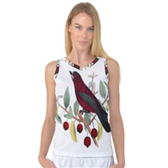 Bird On Branch Illustration Women s Basketball Tank Top by Amaryn4rt