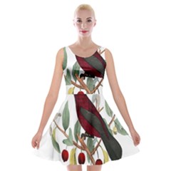 Bird On Branch Illustration Velvet Skater Dress