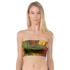 Colorful Autumn Leaves Leaf Background Bandeau Top