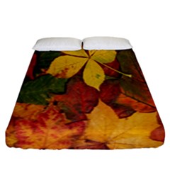 Colorful Autumn Leaves Leaf Background Fitted Sheet (king Size)