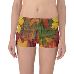 Colorful Autumn Leaves Leaf Background Boyleg Bikini Bottoms by Amaryn4rt