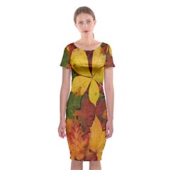 Colorful Autumn Leaves Leaf Background Classic Short Sleeve Midi Dress by Amaryn4rt