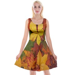 Colorful Autumn Leaves Leaf Background Reversible Velvet Sleeveless Dress