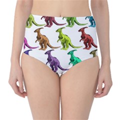 Multicolor Dinosaur Background High-waist Bikini Bottoms by Amaryn4rt