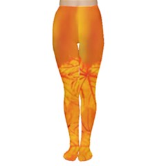 Bright Yellow Autumn Leaves Women s Tights by Amaryn4rt