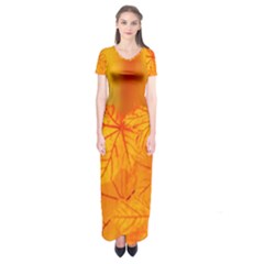 Bright Yellow Autumn Leaves Short Sleeve Maxi Dress by Amaryn4rt