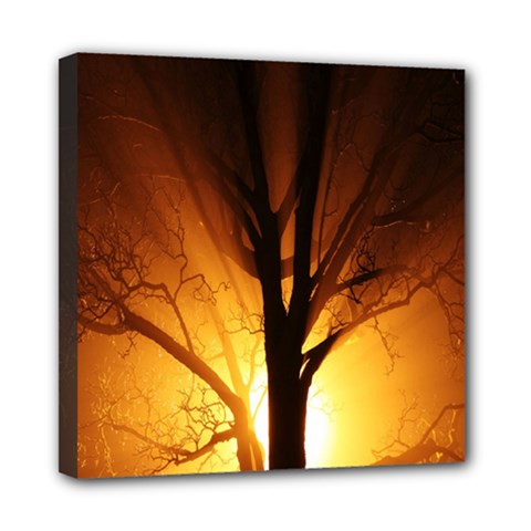 Rays Of Light Tree In Fog At Night Mini Canvas 8  X 8  by Amaryn4rt