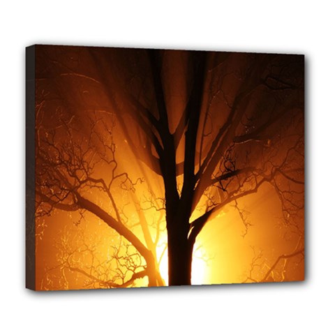 Rays Of Light Tree In Fog At Night Deluxe Canvas 24  X 20  