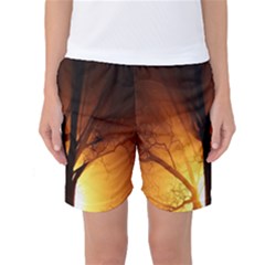 Rays Of Light Tree In Fog At Night Women s Basketball Shorts by Amaryn4rt