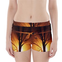 Rays Of Light Tree In Fog At Night Boyleg Bikini Wrap Bottoms by Amaryn4rt