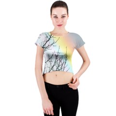 Rainbow Sky Spectrum Rainbow Colors Crew Neck Crop Top by Amaryn4rt