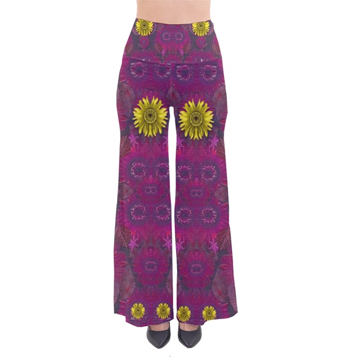 Colors And Wonderful Sun  Flowers Pants